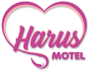 harus-motel-na-serra-com-suites-tematicas