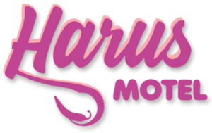 harus-motel-na-serra-com-suites-tematicas